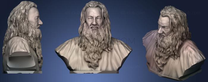 Gandalf Bust